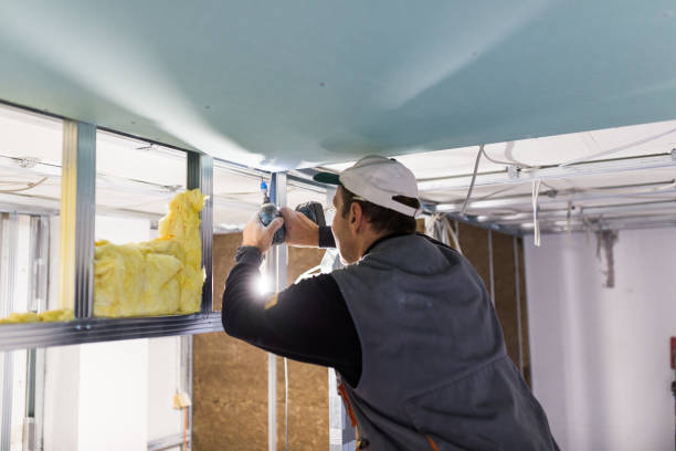 Best Fiberglass Insulation in Highlandville, MO
