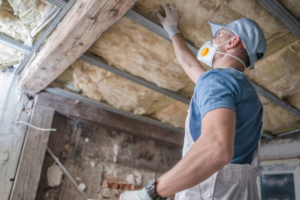 Best Commercial Insulation in Highlandville, MO