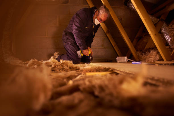 Best Specialized Insulation Services in Highlandville, MO